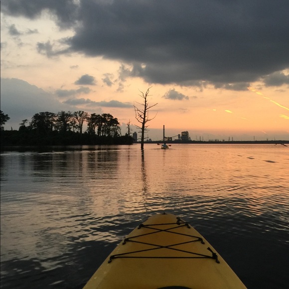 Meet your Posher, George - Picture 1 of 1